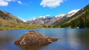 Things to do in Aspen, Colorado 